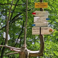 Rozdroże szlaków pod Przełęczą pod Czuplem. Wskazówki pokazują drogę do schroniska, centrum i innych punktów. To czupel najkrótszy szlak.
