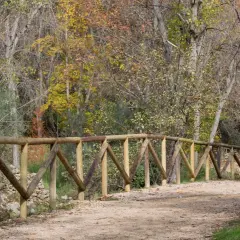 Sendero de tierra con barandilla de madera, ideal para rutas fáciles cerca de Madrid en otoño.