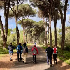 Gruppo di escursionisti cammina su un sentiero alberato, godendosi la natura. Il **san rossore** del cielo si riflette tra i pini.