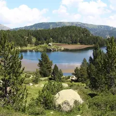 Lago sereno rodeado de pinos y montañas. El agua refleja el cielo azul con nubes algodonosas. Un paisaje idílico, casi como si las bulloses hubieran sido pintadas.