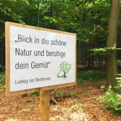 Schild im Wald: "Blick in die schöne Natur und beruhige dein Gemüt" – das ist Waldbaden. Ludwig van Beethoven.