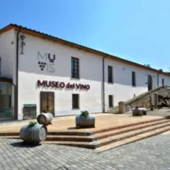 Museo del Vino a Castiglione in Teverina: cosa vedere per un'esperienza enogastronomica indimenticabile.