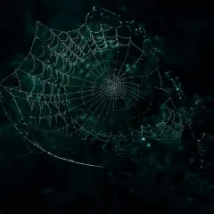 Una telaraña con gotas de rocío brilla en la oscuridad, como un sueño con telarañas.