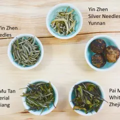 Fünf Schalen mit weißem Tee: Bai Hao Yin Zhen Silver Needles, Yin Zhen Silver Needles, Lao Bai Cha, Pai Mu Tan Imperial und Pai Mu Tan White Peony. Die silbernadel tee wirkung ist sanft und belebend.