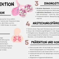 RSV-Infektion: Symptome reichen von leichter Erkältung bis schwerer Atemwegserkrankung, besonders bei Säuglingen. Grafik zeigt Lunge und Baby.
