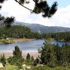 Familia disfrutando de excursiones en Cerdanya, caminando por un sendero rodeado de vegetación y árboles.