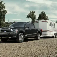 Czarny Ford F-150 Platinum holuje przyczepę z koniem na farmie.