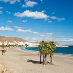 La **playa de la Galera** se extiende bajo un cielo azul con nubes blancas. Palmeras salpican la arena dorada, mientras el mar turquesa baña la costa. Al fondo, un pueblo blanco se asoma entre las colinas.