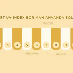 Grafik visar UV-index från 1 till 11+. Solskydd rekommenderas från UV-index 3. Även i skuggan kan man bli brun om UV-index är högt.