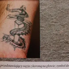 Vide cul fide tatuaż: wąż z koroną na głowie, symbol zemsty.