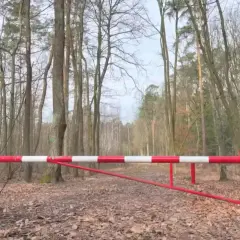 Przed nami szlaban z napisem "zakaz wjazdu do lasu". Droga leśna jest pusta, otoczona drzewami.
