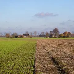 Campi verdi e arati, case rurali in lontananza. L'avvicendamento significato della natura, tra raccolto e riposo della terra.