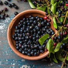 Schwarze Beeren in einer Schale und an Zweigen. Informieren Sie sich über mögliche maqui-beere nebenwirkungen, bevor Sie sie konsumieren.