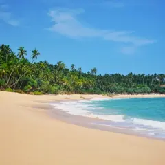 Rajskie Sri Lanka plaże z palmami i turkusową wodą. Idealne miejsce na relaks.