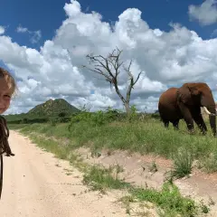 Bambina sorridente sporge dal finestrino di un fuoristrada in Kenya, mentre un elefante cammina nella savana.