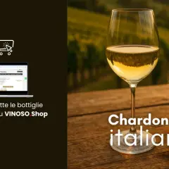 Un bicchiere di vino bianco, un blanc de blancs, accanto a una bottiglia di Chardonnay italiano Colle di Maggio. Acquista su VINOSO Shop.