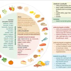 Ilustracja przedstawia koło z różnymi produktami spożywczymi, podzielone na kategorie: warzywa, zboża, bulwy, rośliny strączkowe, ryby, nabiał, mięso.
