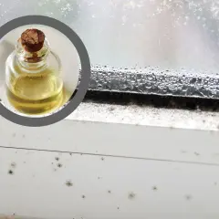 Mała buteleczka z żółtym płynem na tle zapleśniałego parapetu i okna. Pleśń na winie w balonie to problem, z którym można walczyć.