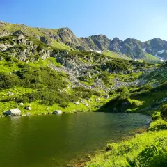 Zielone zbocza górskie schodzą do spokojnego, zielonego jeziora. W oddali widać skaliste szczyty, a na niektórych wciąż leży śnieg. To malowniczy widok na Rohackie Stawy.