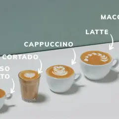 Verschiedene Kaffeevarianten: Espresso Macchiato, Cortado, Cappuccino, Latte und Latte Macchiato, kunstvoll mit Milchschaum verziert.
