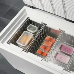 Interno di un congelatore a pozzetto con scomparti contenenti salmone, verdure e gelati. La temperatura del pozzetto è ideale per la conservazione.
