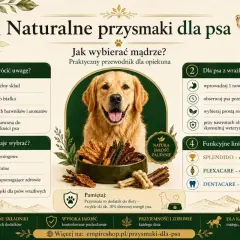 Szukasz idealnych przysmaków dla szczeniaka? Dowiedz się, jakie smaczki dla szczeniaka wybrać, zwracając uwagę na skład, rodzaj i przeznaczenie.