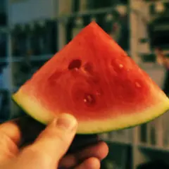 Kawałek soczystego arbuza w dłoni. Zastanawiasz się, ile kosztuje arbuz?