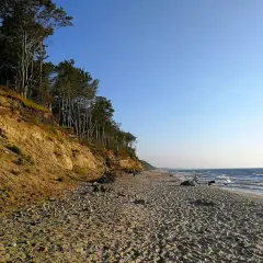 Plaża z klifem porośniętym drzewami, fale rozbijające się o brzeg. Dębina atrakcje przyrodnicze zachwycają.