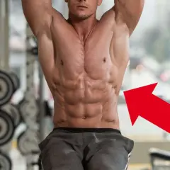 Ein Mann mit stark ausgeprägten Bauchmuskeln, der rote Pfeil zeigt auf den serratus anterior.