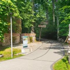 Drewniane rzeźby żołnierzy witają przy ścieżce w lesie. Tablice informacyjne i ruiny ceglane zdradzają, że to Wilczy Szaniec. Ciekawostki czekają!