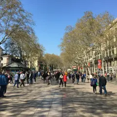 Tłum ludzi spaceruje po słonecznej La Rambla w Barcelonie, otoczonej drzewami i zabytkowymi budynkami.