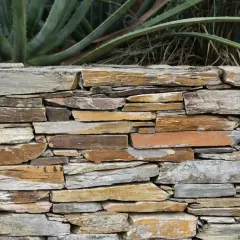 A rustic stone wall, showcasing how to build a retaining wall with layered, irregular stones. Aloe plants grow behind it.