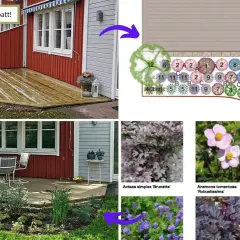 Från idé till nyplanterad rabatt! En trädgårdsplan visar hur man kan planera en rabatt med olika växter.