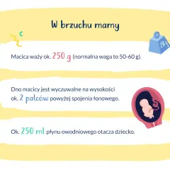 16 tydzień ciąży to już 4 miesiąc. Macica waży ok. 250 g, a dziecko otacza 250 ml płynu.
