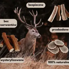 Jak przygotować poroże jelenia dla psa, by zapewnić mu bezpieczeństwo