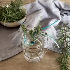 Frische Rosmarinzweige in einem Glas mit Wasser, bereit zum **Rosmarin vermehren**. Daneben eine Schale voller Kräuter und ein Küchentuch.