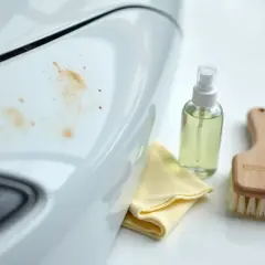 Ślady po ptasich odchodach na białym lakierze. Spray, ściereczka i szczotka pomogą Ci dowiedzieć się, jak usunąć wżery po ptasich odchodach.