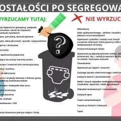 Segregacja śmieci: Jak robić to dobrze i uniknąć kar?