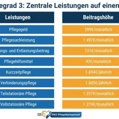Übersicht der Leistungen für Pflegegrad 3: Pflegegeld, Sachleistungen, Hilfsmittel und mehr mit monatlichen/jährlichen Kosten.