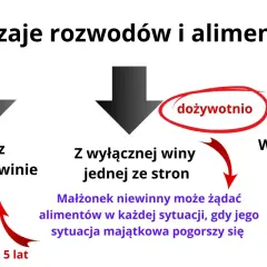 Rozwód z winy obu stron a alimenty: schemat pokazuje rodzaje rozwodów i zasady alimentacji. Wina obu stron może oznaczać alimenty tylko w niedostatku przez 5 lat.