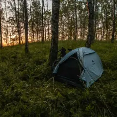 Namiot i rower w lesie o zachodzie słońca. Czy to nocleg na dziko, za który grozi mandat?