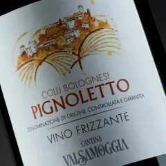 Etichetta di Pignoletto Frizzante, vino tipico bolognese, con disegno di un borgo collinare e vigneti.