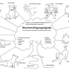 Schema zeigt verschiedene **Hund Zeichen** für Beschwichtigungssignale, wie Gähnen, Kopf abwenden oder sich schütteln.