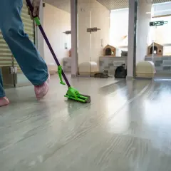 Person wischt mit einem Mopp über den Boden. Hausmittel zur Farbe vom Boden entfernen.