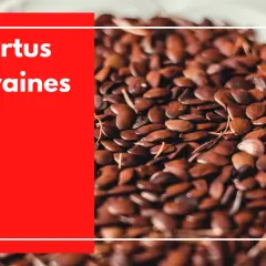 Gros plan sur des graines de lin brunes, petites et ovales, évoquant les bienfaits de ce superaliment.