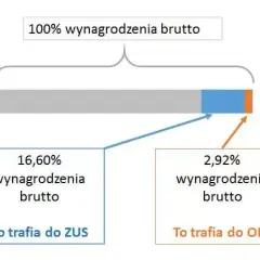 OFE: Co to, jak działa, dziedziczenie. Czy warto oszczędzać?