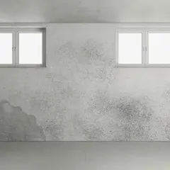 Ein feuchter Keller mit dunklen Flecken an den Wänden, zwei kleinen Fenstern und einem Rohr.