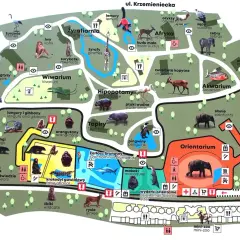 Mapa zoo z zaznaczonym Orientarium, gdzie można zobaczyć słonie. Obok znajdują się wybiegi dla lemurów, makaków i wyderek.