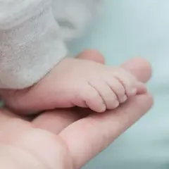 Piede di neonato maschio su mano adulta. Un piccolo tesoro da confrontare con la tabella percentili neonato maschio.