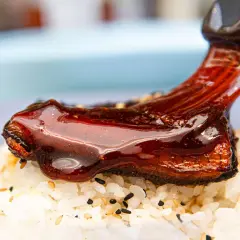 A glossy, dark eel sauce is drizzled over grilled eel on a bed of white rice. The sauce is rich and savory, with a hint of sweetness, making you wonder what does eel sauce taste like.